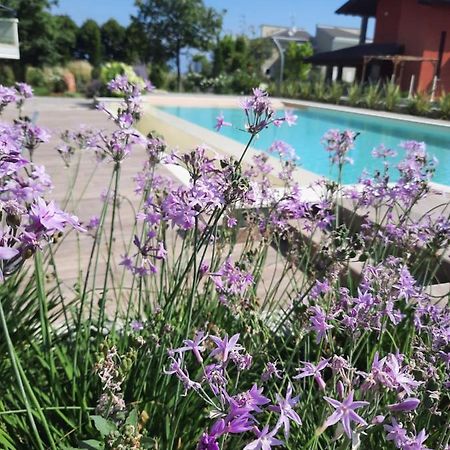 Appartamenti Villa Gloria Peschiera del Garda Exteriér fotografie